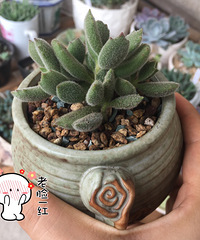 ��ô�ȿ���������������