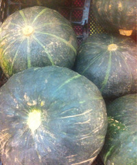 �����ϡ�ԭ�����̳�ֻ������Ϲϣ�û�뵽�������Ϲ���ȫ�ң�