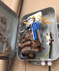 �����ϡ���������������û�뵽�򿪿����е�һ���ǣ��Ҿ����ˣ���