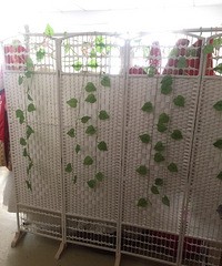 �ͼ۳�������