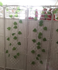 �ͼ۳�������