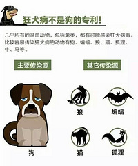 "台州发现今年首例狂犬病病例 你必须掌握这些知识"