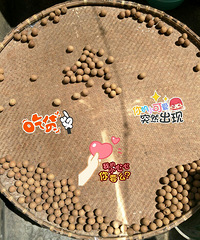 "晒“官员”(桂圆)……"