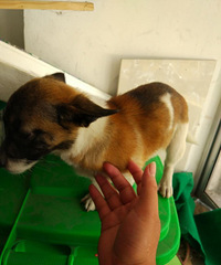 ���ߣ�ĸȮ�������´����������Լ�ȥ����