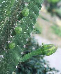 �����ʲô��