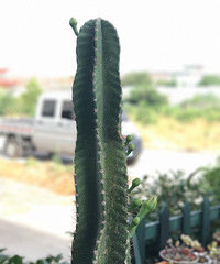 �����ʲô��