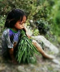 �������������