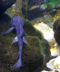 ����ʲô�㣿