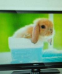 ���۸��᡿ѡ�����ֵ��ӻ��ǿ������ӣ�