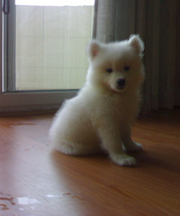 ������ĦҮѰ��������