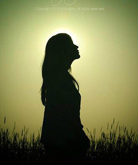 ������ÿ�ζ�Լ��ȥ������