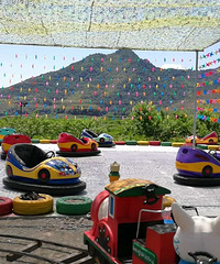 ��19¥�����Լ��Ρ�����ƺ���Ư������ ����ֻ��20��