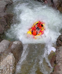 ��19¥�����Լ��Ρ�����ƺ���Ư������ ����ֻ��20��