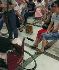 ���������Ź�