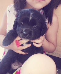 ���ص��̷��̸�Ǯ��