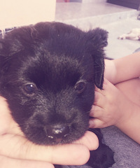 ���ص��̷��̸�Ǯ��