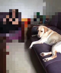 #Ѱ����ʾ#���Ӽҵ�С����ֻ��������7��