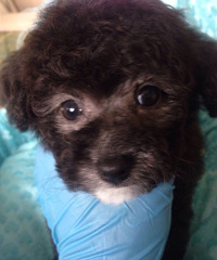 ���ӻ��������¼�