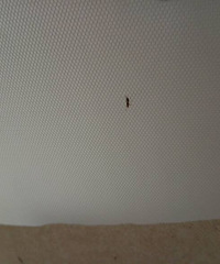 �����Ͼ�Ȼ���