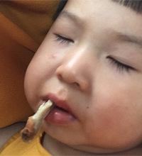 咬着骨头就睡了