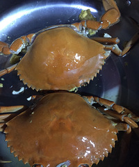 �Լ��㶨����з