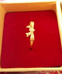 �������ĳ���