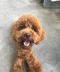 С�һ�ʮ�����ˡ�