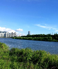 �����µ���������