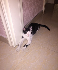 ����������è���ڽ�����157578799