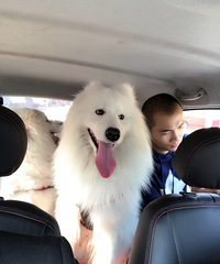 ������������ȥ�����