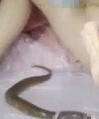 �㽭�ɹ��ƻ�ֱ����ơ������������š�Ů�������̾У�