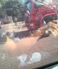 �����ϡ�������� ���������ֳ�����