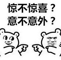 ����������һ�仰�²���������������/�ھӣ�