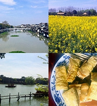 油菜花田是意想不到的收获