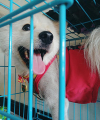 ����Ȯ��һ��룬����δ����������ȫ������