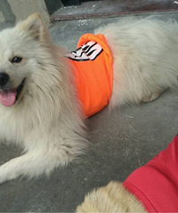 ����Ȯ��һ��룬����δ����������ȫ������