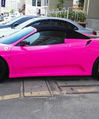 �����ɫ������ ����ɧ����