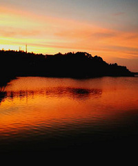 ��ϼ��˺ÿ�