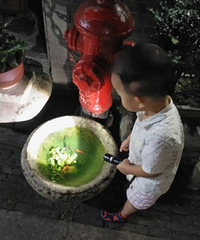 �����ϸɲ�ģʽ