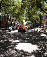 ���ĵ���ʮ�� �ٺ�ɫ������