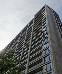 Ե�����뻨԰ �����о��벻����������