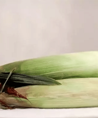 �����ճ���ζ���۵�����