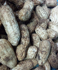 ��õ����� ȴ�򲻵�����