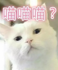 ���������޹�ʹ�� �²��ؼ���������������