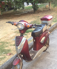 ��ƿ������