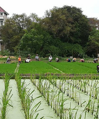 �����ϡ���������������ŵ���