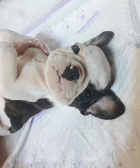 ����2���·�ţ �͸� ��ʿ��