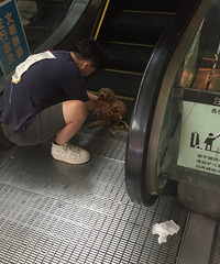 С������������