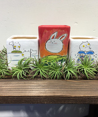 发现一家可以自己手绘花盆的小店