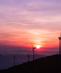 ����ҹϮ����ɽ